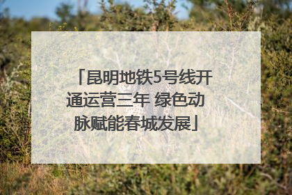 昆明地铁5号线开通运营三年 绿色动脉赋能春城发展