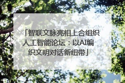 智联文脉亮相上合组织人工智能论坛：以AI编织文明对话新纽带