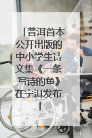 普洱首本公开出版的中小学生诗文集《一条写诗的鱼》在宁洱发布