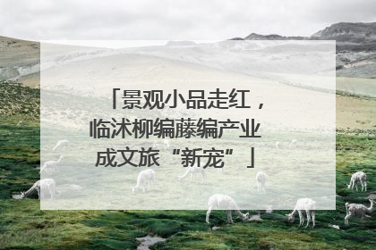 景观小品走红，临沭柳编藤编产业成文旅“新宠”