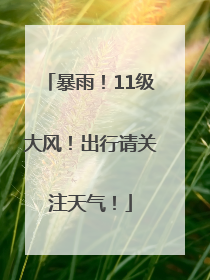 暴雨！11级大风！出行请关注天气！