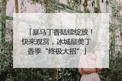 暴马丁香陆续绽放！快来观赏，冰城最美丁香季“终极大招”