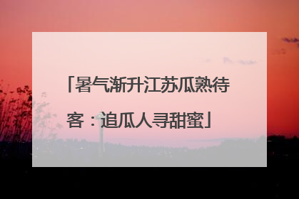 暑气渐升江苏瓜熟待客：追瓜人寻甜蜜