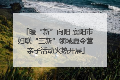 暖“新”向阳 襄阳市妇联“三新”领域夏令营亲子活动火热开展