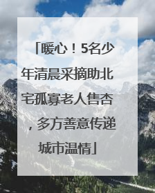 暖心！5名少年清晨采摘助北宅孤寡老人售杏，多方善意传递城市温情