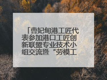 曹妃甸港工匠代表参加港口工匠创新联盟专业技术小组交流暨“劳模工匠助企行”活动