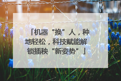 机器“换”人，种地轻松，科技赋能解锁插秧“新姿势”