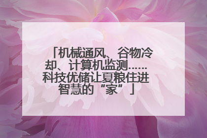 机械通风、谷物冷却、计算机监测……科技优储让夏粮住进智慧的“家”