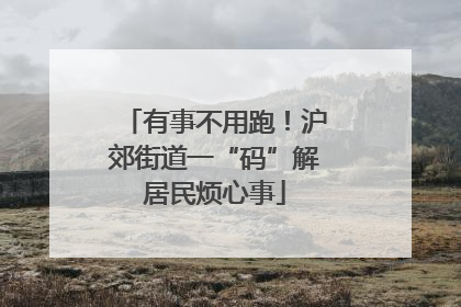 有事不用跑！沪郊街道一“码”解居民烦心事