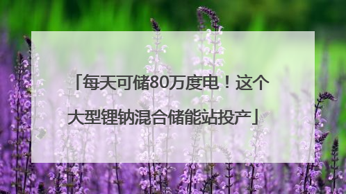 每天可储80万度电！这个大型锂钠混合储能站投产