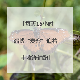 每天15小时 淄博“麦客”追着丰收连轴跑