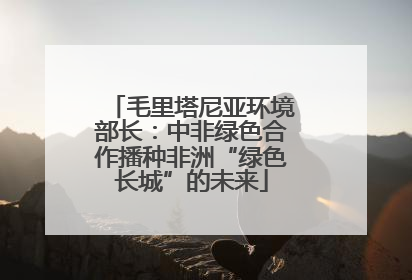毛里塔尼亚环境部长：中非绿色合作播种非洲“绿色长城”的未来