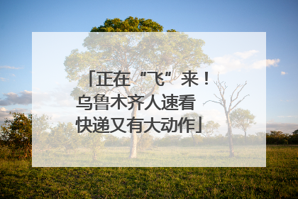 正在“飞”来！乌鲁木齐人速看 快递又有大动作