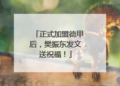 正式加盟德甲后，樊振东发文送祝福！