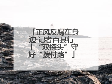 正风反腐在身边·记者百县行丨“双探头”守好“拨付路”