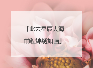 此去星辰大海 前程锦绣如画