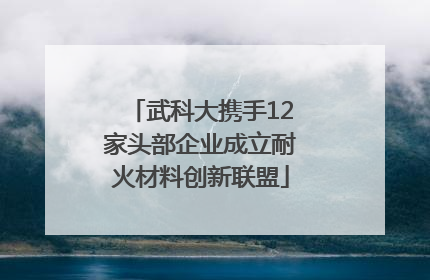 武科大携手12家头部企业成立耐火材料创新联盟