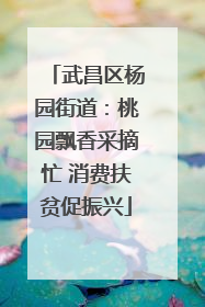 武昌区杨园街道：桃园飘香采摘忙 消费扶贫促振兴