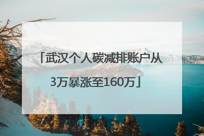 武汉个人碳减排账户从3万暴涨至160万