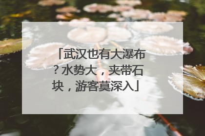 武汉也有大瀑布？水势大，夹带石块，游客莫深入
