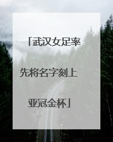 武汉女足率先将名字刻上亚冠金杯