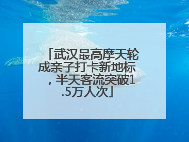 武汉最高摩天轮成亲子打卡新地标，半天客流突破1.5万人次