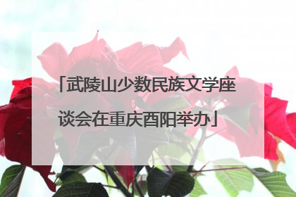 武陵山少数民族文学座谈会在重庆酉阳举办