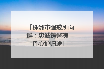 株洲市强戒所向群：忠诚铸警魂 丹心护归途