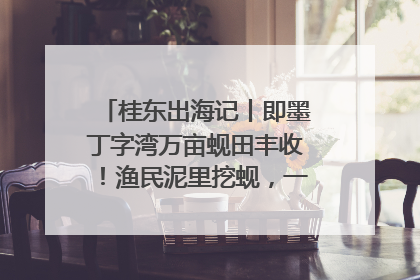 桂东出海记丨即墨丁字湾万亩蚬田丰收！渔民泥里挖蚬，一天上岸过千斤