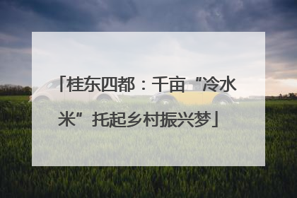 桂东四都：千亩“冷水米”托起乡村振兴梦
