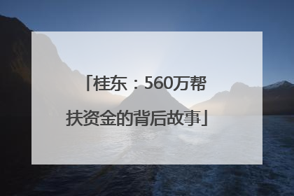 桂东：560万帮扶资金的背后故事
