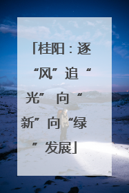 桂阳：逐“风”追“光” 向“新”向“绿”发展