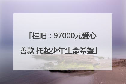 桂阳：97000元爱心善款 托起少年生命希望