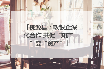 桃源县：政银企深化合作 共促“知产”变“资产”