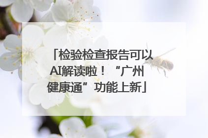 检验检查报告可以AI解读啦！“广州健康通”功能上新