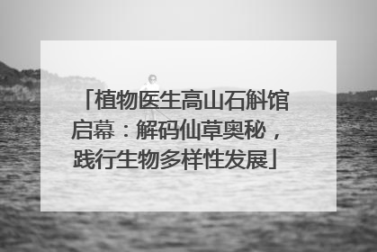 植物医生高山石斛馆启幕：解码仙草奥秘，践行生物多样性发展