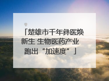 楚雄市千年彝医焕新生 生物医药产业跑出“加速度”