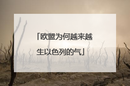 欧盟为何越来越生以色列的气
