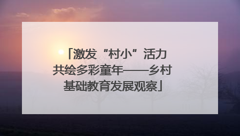 激发“村小”活力 共绘多彩童年——乡村基础教育发展观察