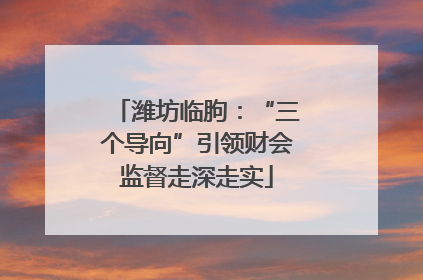 潍坊临朐：“三个导向”引领财会监督走深走实