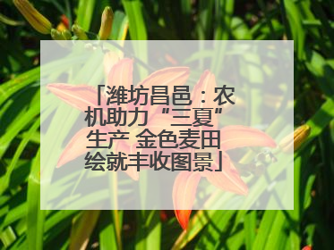 潍坊昌邑：农机助力“三夏”生产 金色麦田绘就丰收图景