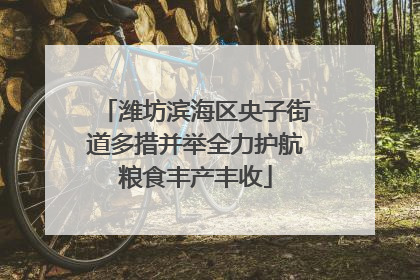潍坊滨海区央子街道多措并举全力护航粮食丰产丰收