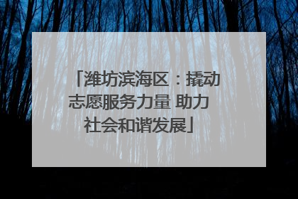 潍坊滨海区：撬动志愿服务力量 助力社会和谐发展