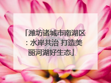 潍坊诸城市南湖区：水岸共治 打造美丽河湖好生态