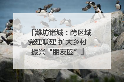 潍坊诸城：跨区域党建联建 扩大乡村振兴“朋友圈”