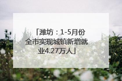 潍坊：1-5月份全市实现城镇新增就业4.27万人