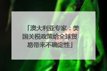 澳大利亚专家：美国关税政策给全球贸易带来不确定性