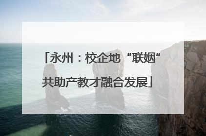 永州：校企地“联姻” 共助产教才融合发展
