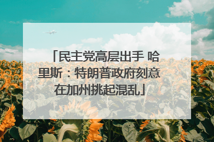 民主党高层出手 哈里斯：特朗普政府刻意在加州挑起混乱