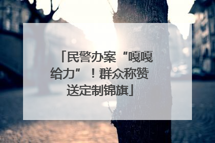 民警办案“嘎嘎给力”！群众称赞送定制锦旗